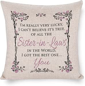 of All The Sister in Laws in The World I Got The Best One You Pillow Covers Throw Pillows Gifts for Women 22"x22" Decorative Pillow Cover Case
