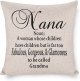 Gift Throw Pillow ; Decorative Pillow Cover Case