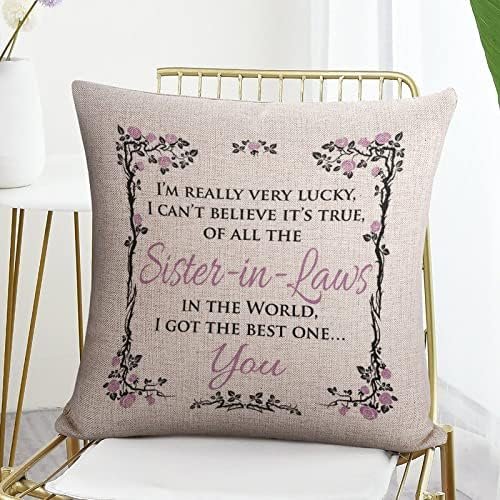 of All The Sister in Laws in The World I Got The Best One You Pillow Covers Throw Pillows Gifts for Women 22"x22" Decorative Pillow Cover Case