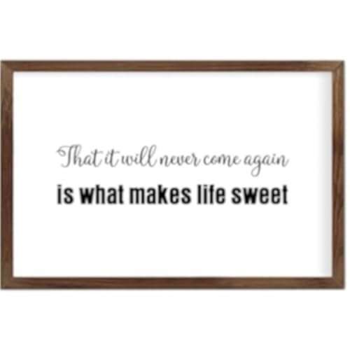 Funny Vintage Wooden Frame Sign 8x12 Inch,That It Will Never Come Again is What Makes Life Sweet Farmhouse Wooded Sign for Home Entrance Decor Ready to Hang Wall Art Holiday Sign Gifts