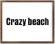 Funny Vintage Wooden Frame Sign 16x20 Inch,Crazy Beach Farmhouse Wooded Sign for Home Entrance Decor Ready to Hang Wall Art Holiday Sign Gifts