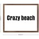 Funny Vintage Wooden Frame Sign 16x20 Inch,Crazy Beach Farmhouse Wooded Sign for Home Entrance Decor Ready to Hang Wall Art Holiday Sign Gifts