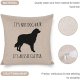 Its Not Dog Hair Its Aussie Glitter Pillow Cover,Australian Shepherd Dog,Aussie Decor,Australian Shepherd Mom,Aussie Dog Lover Gift 20"x20" Decorative Pillow Cover Case