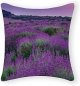Lavender Cushion Cover with Zipper Cotton 16x16 Inch Farmhouse Pillow Cases for Home Decor Funny Cushion Cover for Women Girls,Housewarming Pillow Gifts