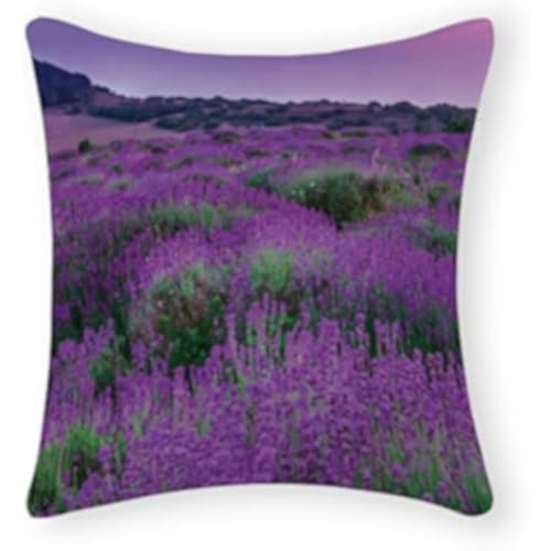 Lavender Cushion Cover with Zipper Cotton 16x16 Inch Farmhouse Pillow Cases for Home Decor Funny Cushion Cover for Women Girls,Housewarming Pillow Gifts