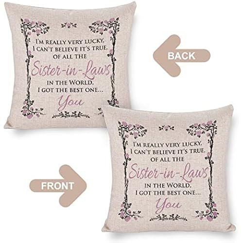 of All The Sister in Laws in The World I Got The Best One You Pillow Covers Throw Pillows Gifts for Women 22"x22" Decorative Pillow Cover Case