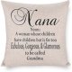 Gift Throw Pillow ; Decorative Pillow Cover Case