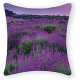 Lavender Cushion Cover with Zipper Cotton 16x16 Inch Farmhouse Pillow Cases for Home Decor Funny Cushion Cover for Women Girls,Housewarming Pillow Gifts