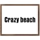 Funny Vintage Wooden Frame Sign 16x20 Inch,Crazy Beach Farmhouse Wooded Sign for Home Entrance Decor Ready to Hang Wall Art Holiday Sign Gifts