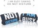 Funny Christmas Gifts,Do Not Disturb I'm Gaming Socks Novelty Gamer Socks Great Gifts For Teen Boys Kids Mens Game Lovers
